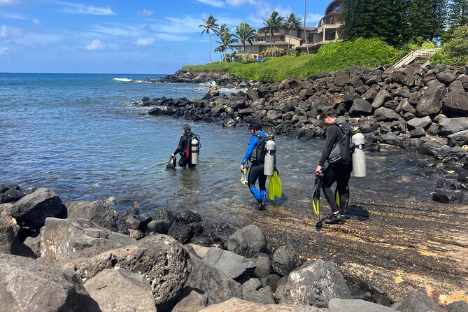 1 Tank Discover Scuba at Koloa Landing with No Experience needed - Guided underwater time at Koloa Landing: wildlife is the star