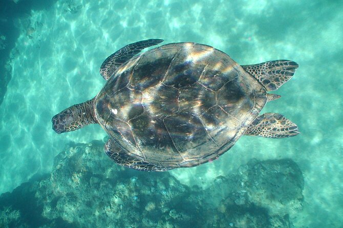 2-Hour Snorkeling Adventure in Kauai - Technique lessons: how your mask and breathing get sorted