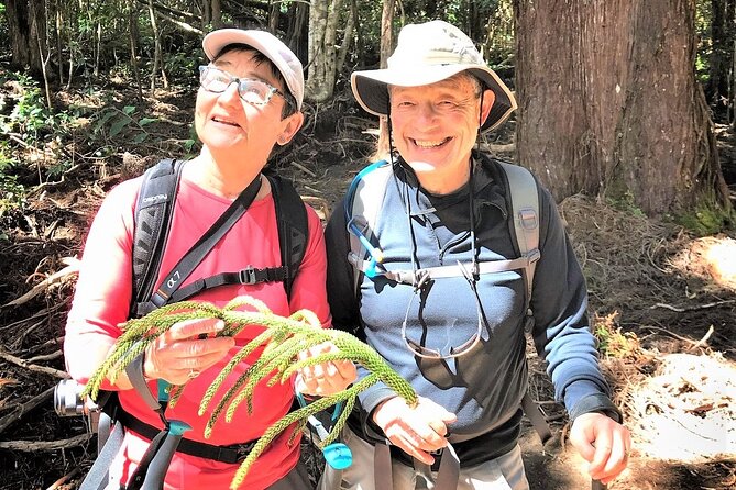 6-7 Hours Private Kauai's Hidden Gems Experience with Snacks - First, Think Like a Hiker: What This Day Is Really About