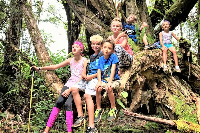 6-7 Hours Private Kauai's Hidden Gems Experience with Snacks - Snacks, a Cooler, and Safety Gear That Actually Helps