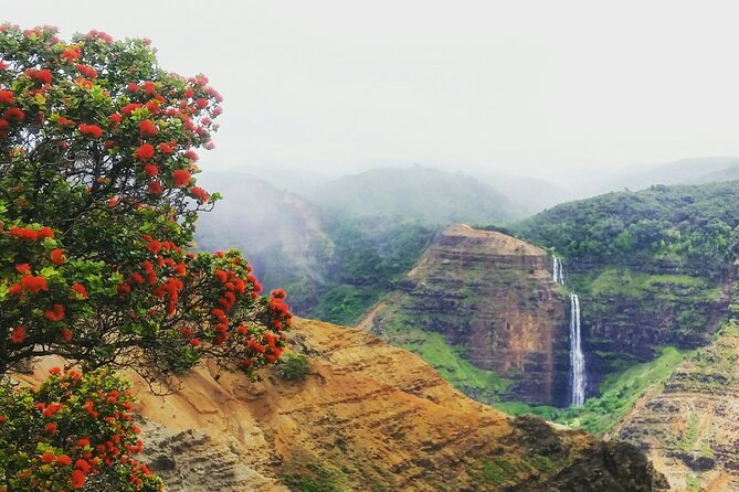 6-7 Hours Private Kauai's Hidden Gems Experience with Snacks - Price and Value: $980 for Up to 4 People