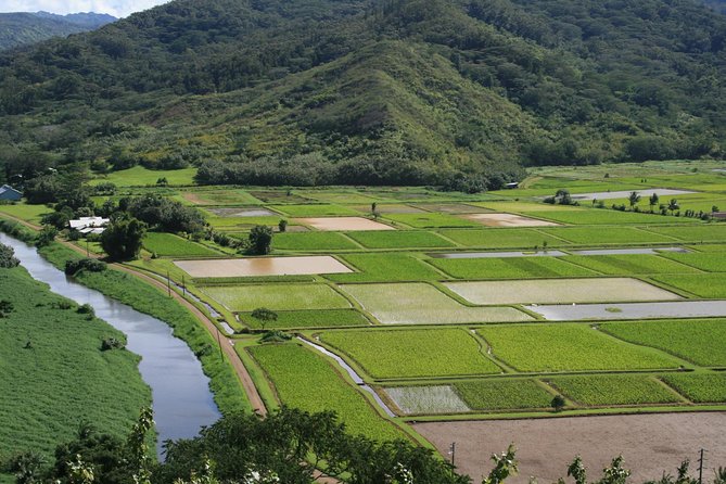 Best Kauai Northeast, Fern Grotto River Cruise & Lighthouse Tour - Price and value: what $220.44 buys you (and what it doesn’t)