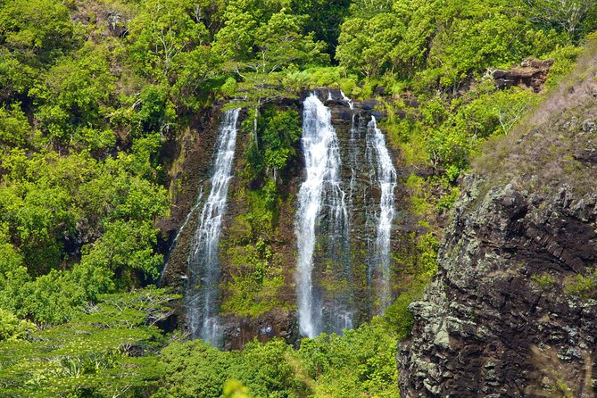 Best Kauai Northeast, Fern Grotto River Cruise & Lighthouse Tour - The short rainforest walk: easy, but watch your footing