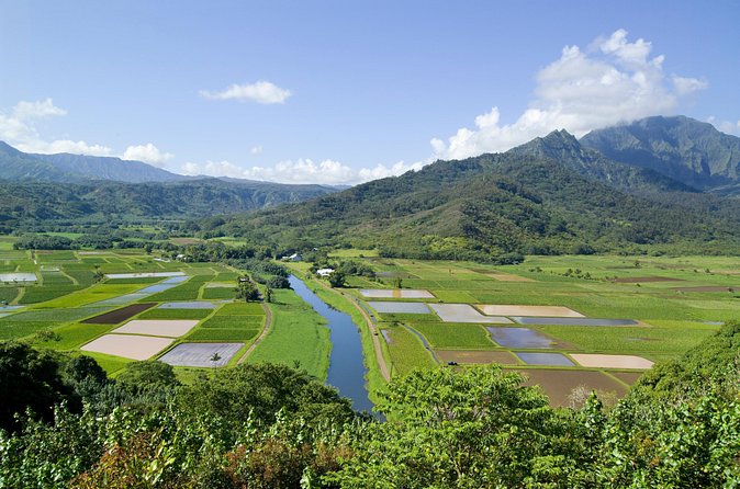 Cruise Ship Shore Excursion: Kauai Movie Sites Tour - ‘Opaeka’a Falls: quick viewpoint, multiple classic connections