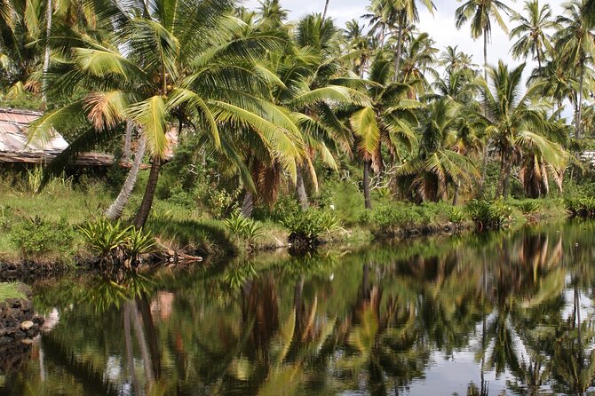 Cruise Ship Shore Excursion: Kauai Movie Sites Tour - Price and the value of an all-day guided loop