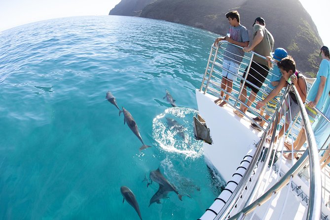 Deluxe Na Pali Morning Snorkel Tour on the Lucky Lady - Lunch and Open Bar at Sea: Actually Useful Included Food