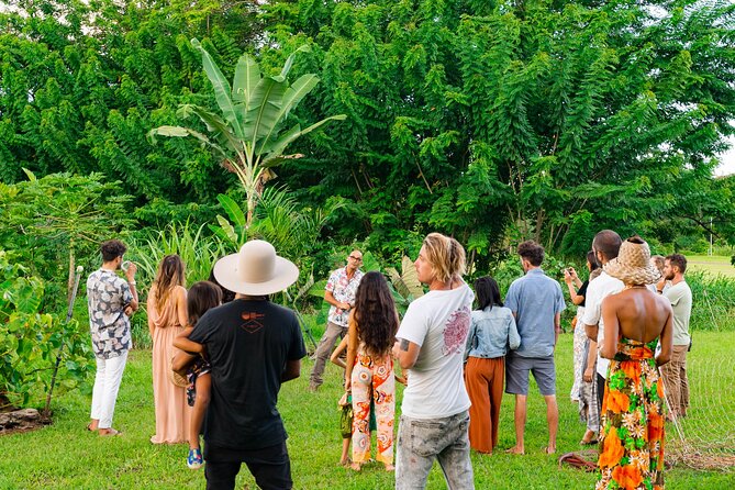 Farm and Food Experience in Kilauea - The two-hour flow: what happens after you arrive in Kilauea