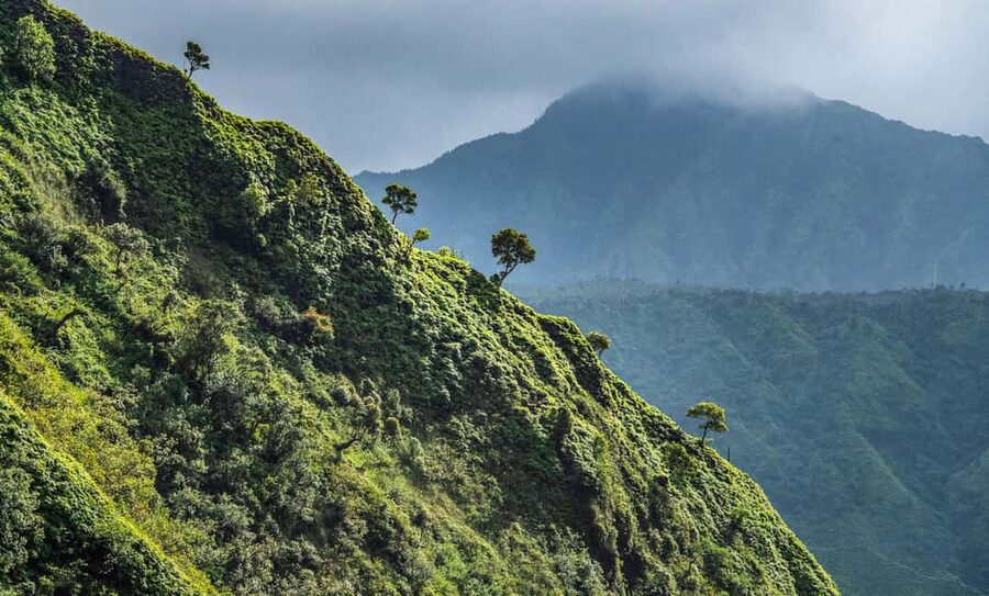 From Princeville: Discover Kauai Helicopter Tour - Why This Flight Beats Trying to Drive It All