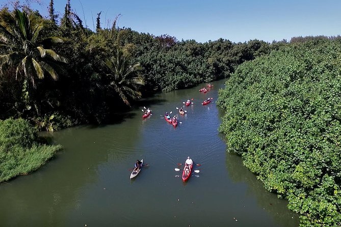Hanalei Bay Morning Kayak and Snorkel Tour - Who This Tour Fits Best (and Who Might Want a Different Plan)