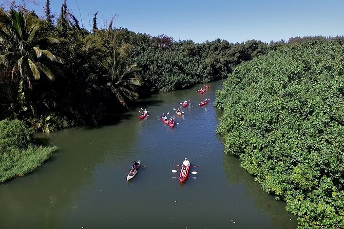 Hanalei Bay PM Kayak & Snorkel in Kauai - Price and value: what $145.41 buys (and what it doesn’t)