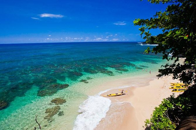 Hanalei River Paddle and Bay Snorkel Tour with Lunch - Key Highlights You’ll Care About