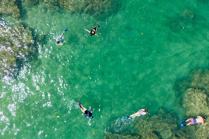 Hanalei River Paddle and Bay Snorkel Tour with Lunch - Snorkeling at Bay Reef Lagoon: Fish, Sea Turtles, and Conditions