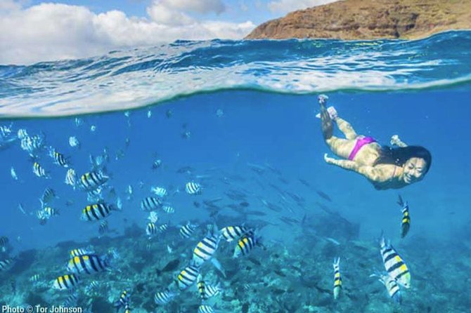 Hanalei River Paddle and Bay Snorkel Tour with Lunch - Your Guide Makes or Breaks the Day