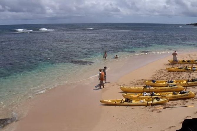 Hanalei River Paddle and Bay Snorkel Tour with Lunch - Who Should Book This Hanalei Paddle and Snorkel?
