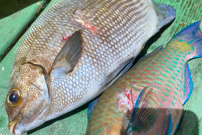 Hawaiian Reef Spearfishing Lesson for Beginners on Kauai - The 45-minute on-shore master class: what you learn before the reef