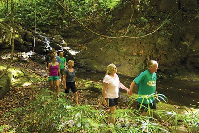 Huleia River Hidden Valley Falls Kayak & Hike - What to pack (so you don’t suffer for your selfies)