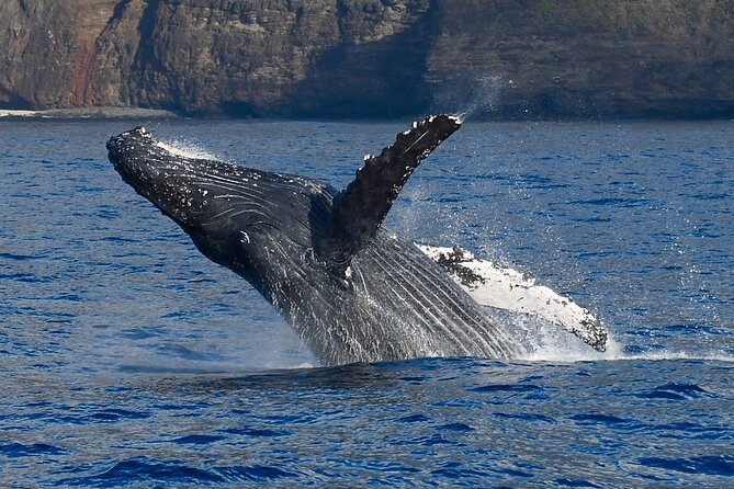 'Imiloa Express Na Pali Sunset Tour - Dinner and drinks onboard: what you get for $190.26