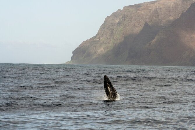 'Imiloa Express Whale Watch and Cocktail Tour - Comfort Tips: How to Get the Best Out of a Wet, Windy Boat Ride