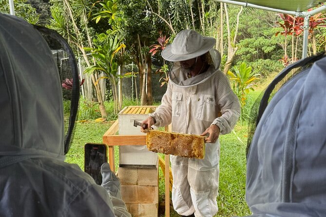 Inside the Hive: Kauai Honey and Bee Tour - Who This Tour Is Best For (And Who Might Hesitate)