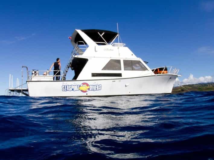 Kauai: 2 Tank Afternoon Dive - Why this 2-tank afternoon scuba setup fits beginners and returners