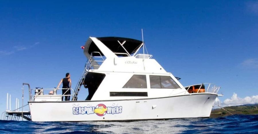 Kauai: 2 Tank Afternoon Dive - Tank one (your first reef-area pass): how the shallow depth helps
