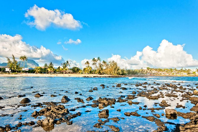Kauai Adventure Bundle: 4 Epic Audio Driving Tours - Stop-and-Go Freedom: When This Bundle Feels Like a Personal Guide
