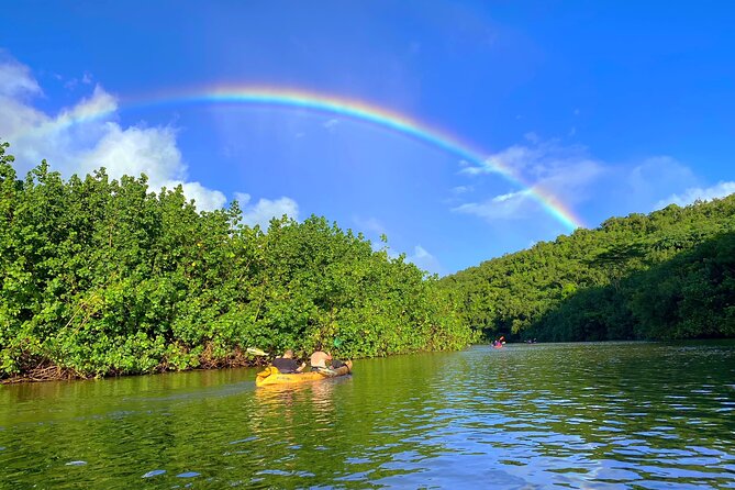 Kauai Adventure: Kayak & Hike to Secret Falls with Expert Guide - The Moderate Hike: Mud, Rocks, and River Crossings