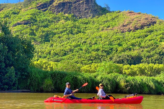 Kauai Adventure: Kayak & Hike to Secret Falls with Expert Guide - What the Guide Adds: Hawaiian Stories and Wildlife Spotting