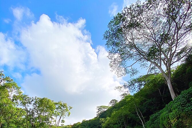 Kauai Adventure: Kayak & Hike to Secret Falls with Expert Guide - Picnic Breaks: How to Plan Your Snack-and-Swim Timing
