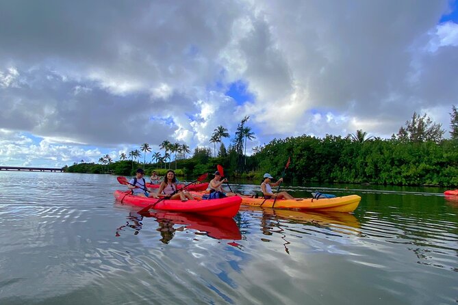 Kauai Adventure: Kayak & Hike to Secret Falls with Expert Guide - Price and Value: What $140 Gets You (and What It Doesn’t)