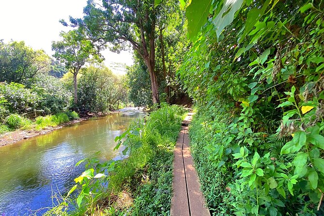 Kauai Adventure: Kayak & Hike to Secret Falls with Expert Guide - Logistics That Can Make or Break Your Day