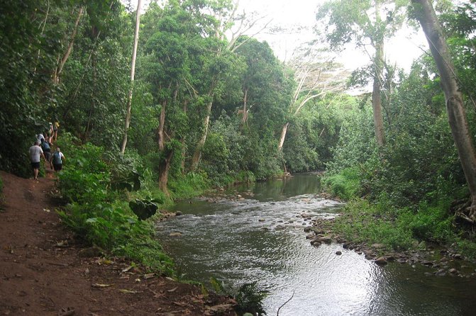 Kauai Adventure: Kayak & Hike to Secret Falls with Expert Guide - Stop at the Water: Uluwehi Falls (Secret Falls) in Real Life