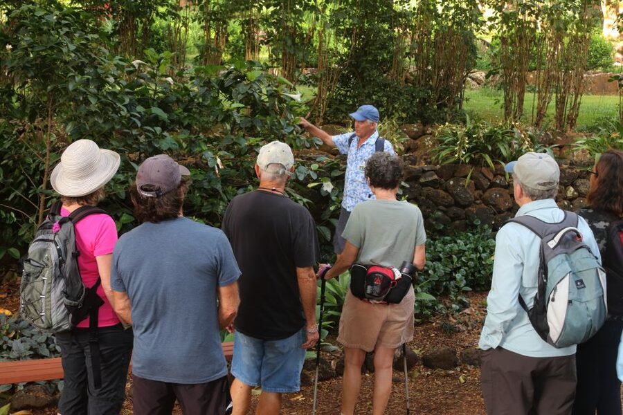Kauai: Allerton Garden and Estate Tour with Sunset Dinner - Why this Allerton sunset tour is such a good value