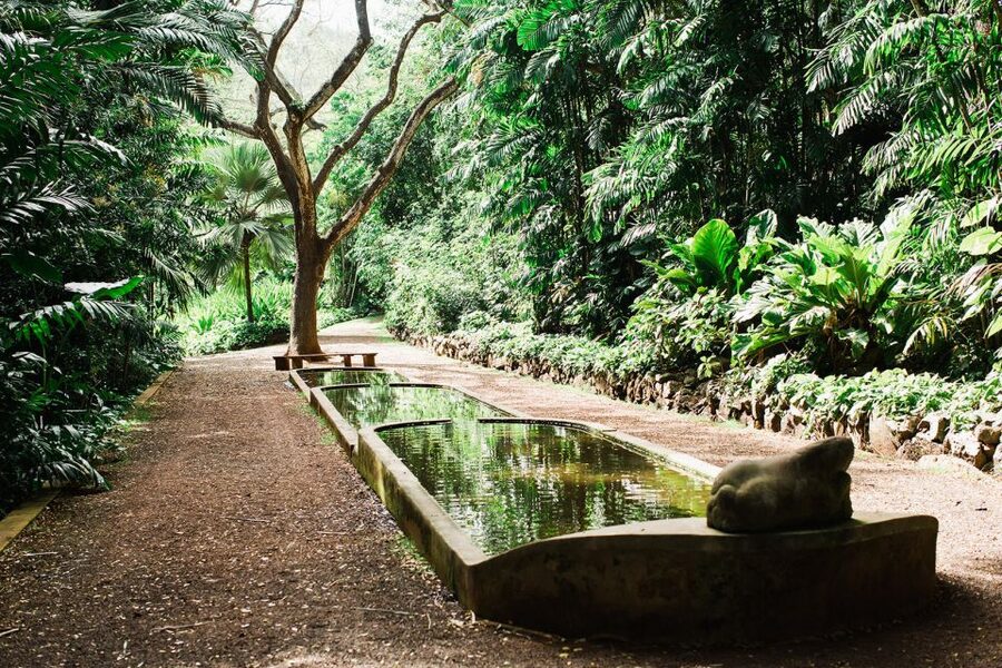 Kauai: Allerton Garden and Estate Tour with Sunset Dinner - Jurassic Park roots: why that stop is more than a fun photo