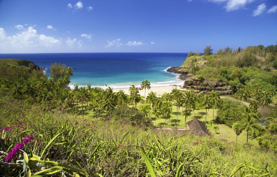 Kauai: Allerton Garden Guided Group Walking Tour - Key things to know before you go