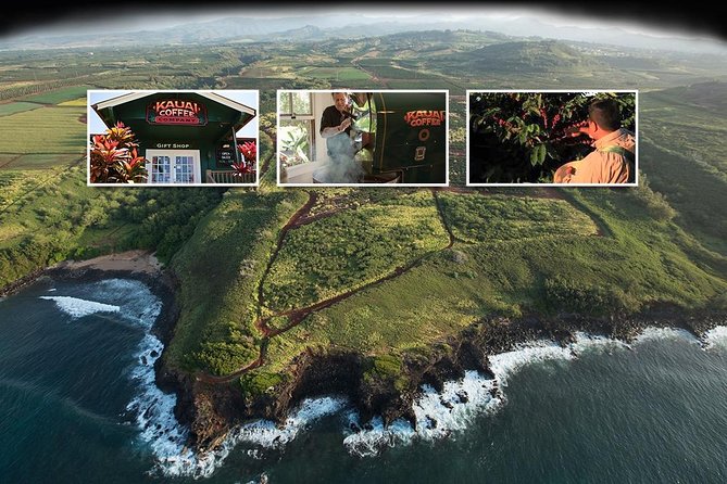 Kauai Canyon Explorer: Private Tour Featuring Waimea & Kokee - Should You Book This Kauai Canyon Explorer Tour?