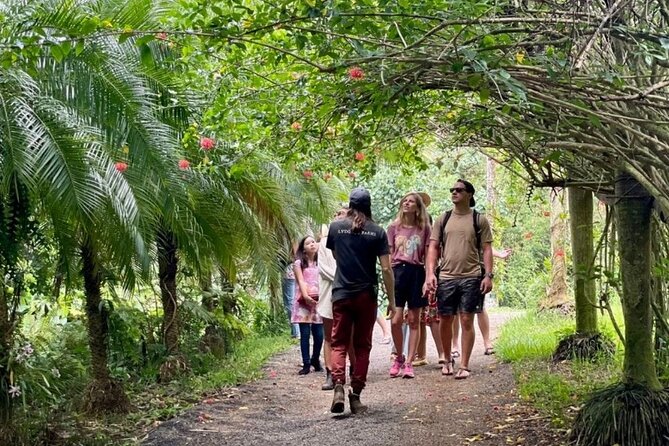 Kauai Chocolate Farm Tasting Tour - Entering Lydgate Farms: gardens, honey, and first tastes