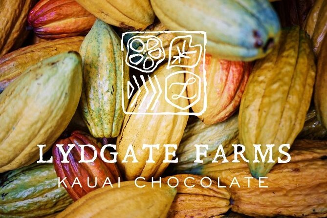 Kauai Chocolate Farm Tasting Tour - How seed becomes chocolate: the step-by-step lesson