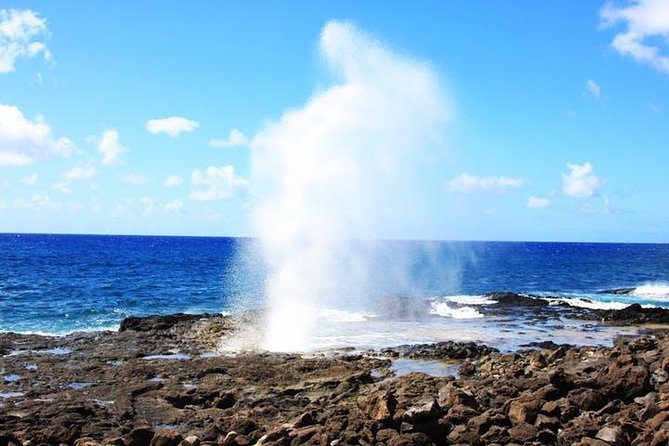 Kauai Cruise Ship Shore Excursion Journey to Waimea Canyon - How to use the 5 hours for maximum photos