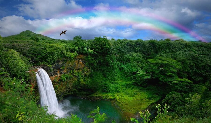 Kauai: Customized Luxury Private Tour - Key things you’ll notice on this Kauai private luxury tour
