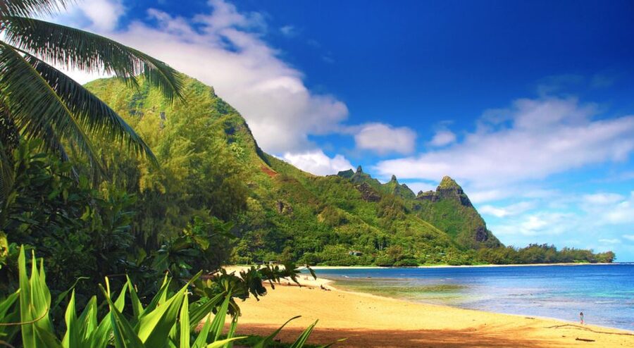 Kauai: Customized Luxury Private Tour - Luxury private driving: how the day stays easy