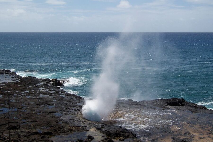 Kauai: Customized Luxury Private Tour - The luxury vehicle reality check: comfort, rules, and pacing