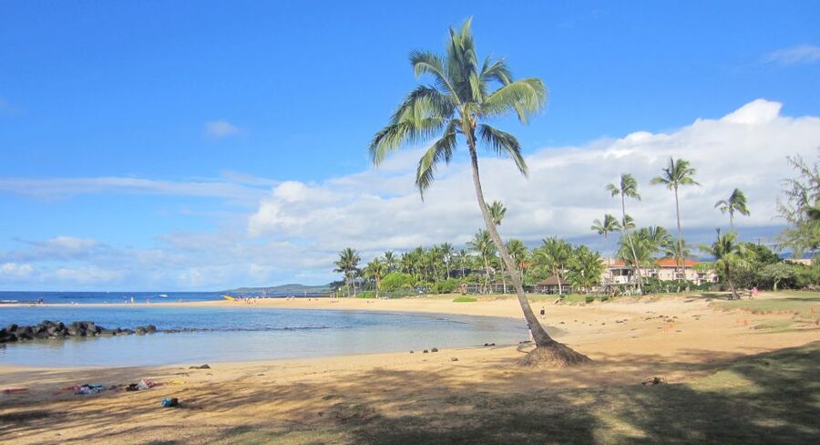 Kauai: Customized Luxury Private Tour - Price and value: what $450 per person buys you in real life