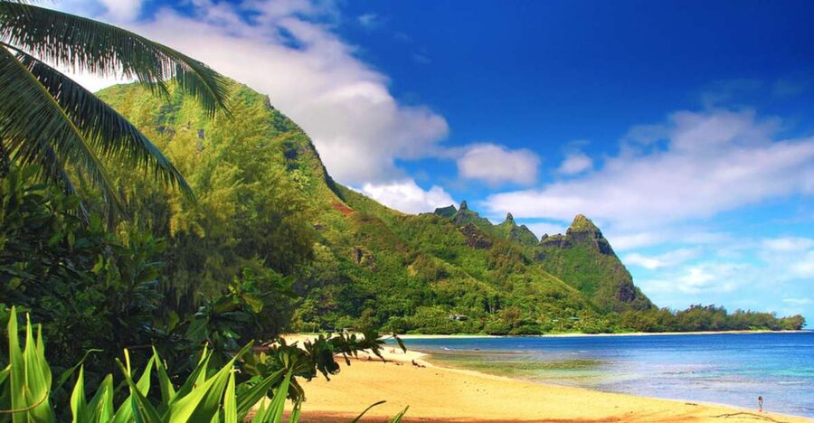 Kauai: Customized Luxury Private Tour - Choosing north and east or south and west: pick the Kauai mood you want