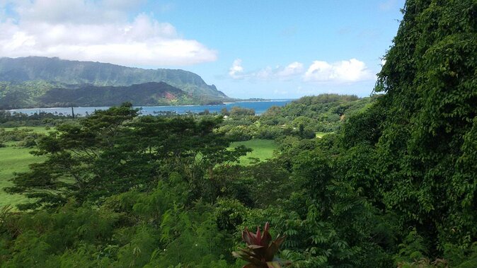 Kauai East Side and North Shore Private Guided Tour - Key highlights at a glance