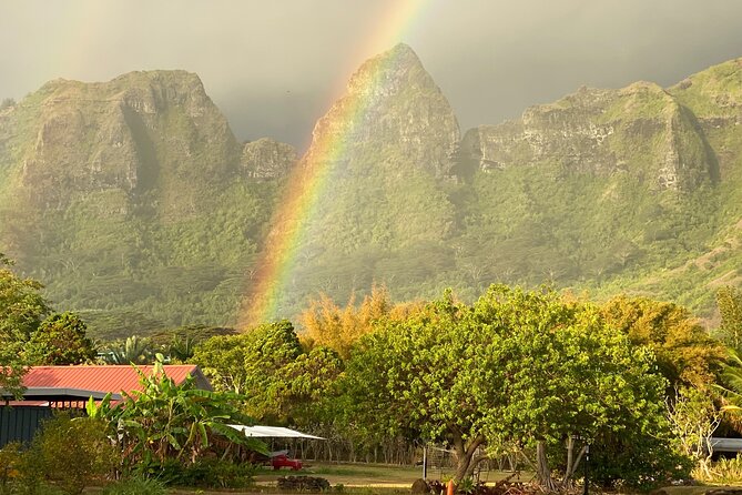 Kauai East Side and North Shore Private Guided Tour - Price and logistics: what $850 really buys you