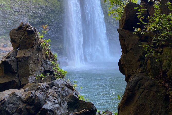 Kauai East Side and North Shore Private Guided Tour - Who should book this tour, and who should skip it?