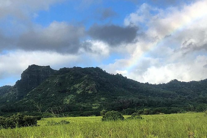 Kauai East Side and North Shore Private Guided Tour - Should you book this Kauai East Side and North Shore private tour?