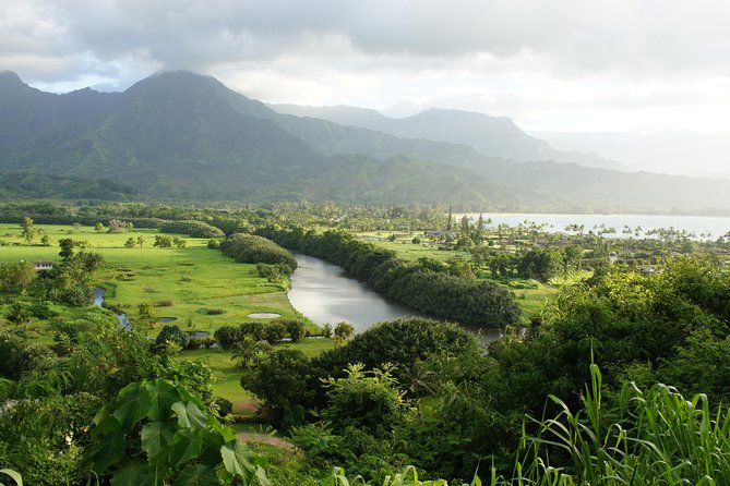 Kauai East Side and North Shore Private Guided Tour - The coconuts and why they matter more than a novelty