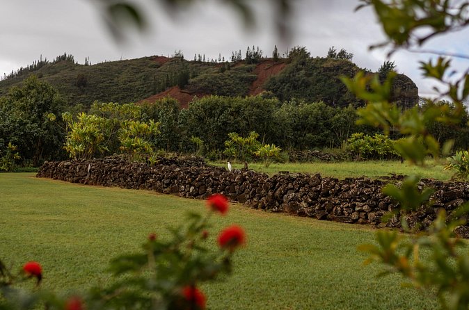 Kauai East Side SHARED Adventute - Where You Meet in Lihue, and How the Tour Flows